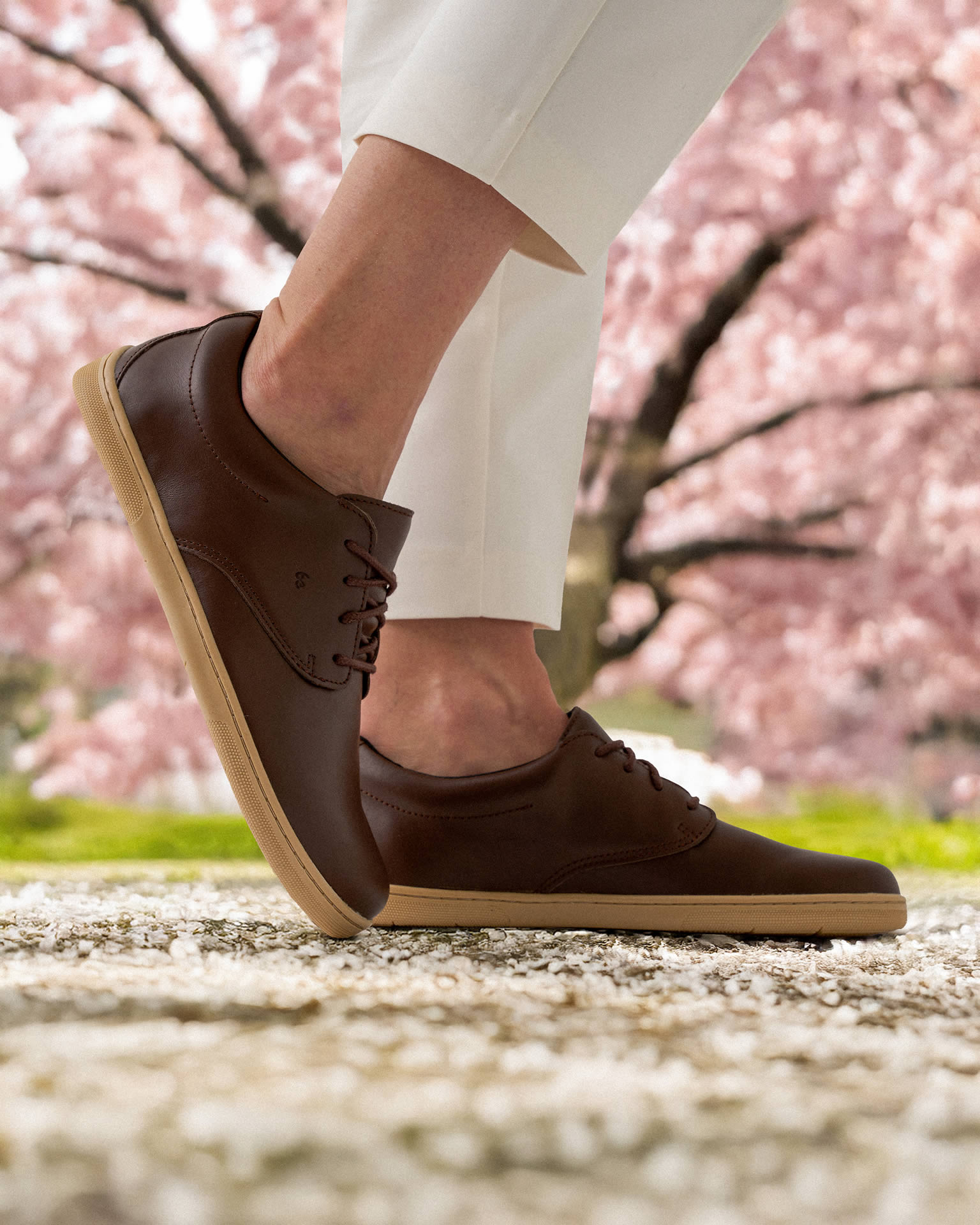 Be Lenka Cityscape - Magnum Brown