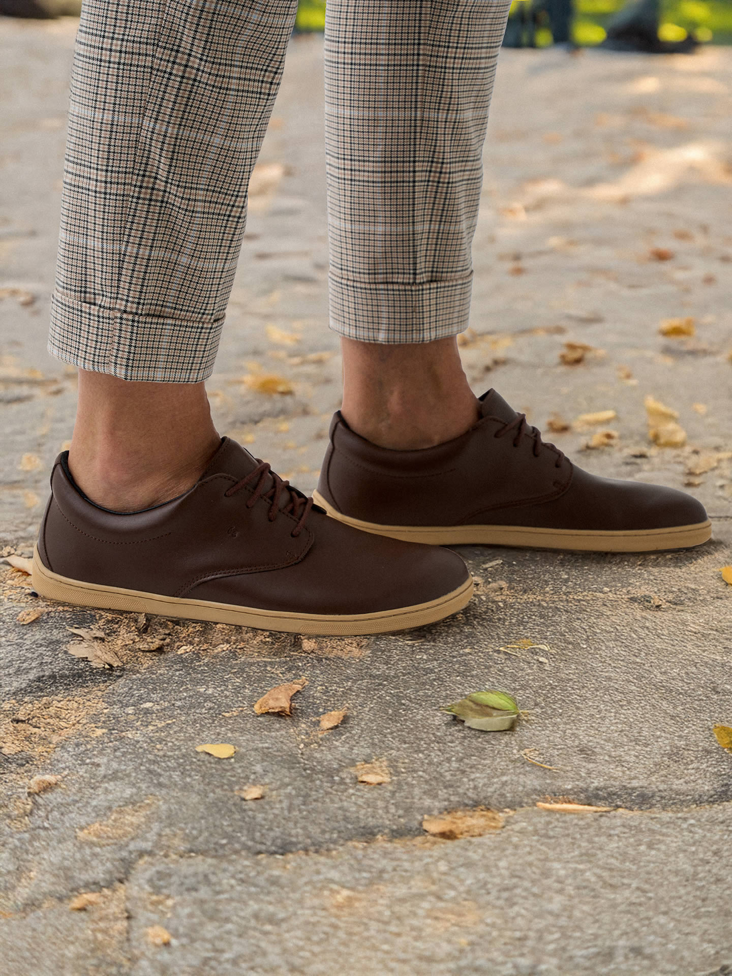 Be Lenka Cityscape - Magnum Brown 