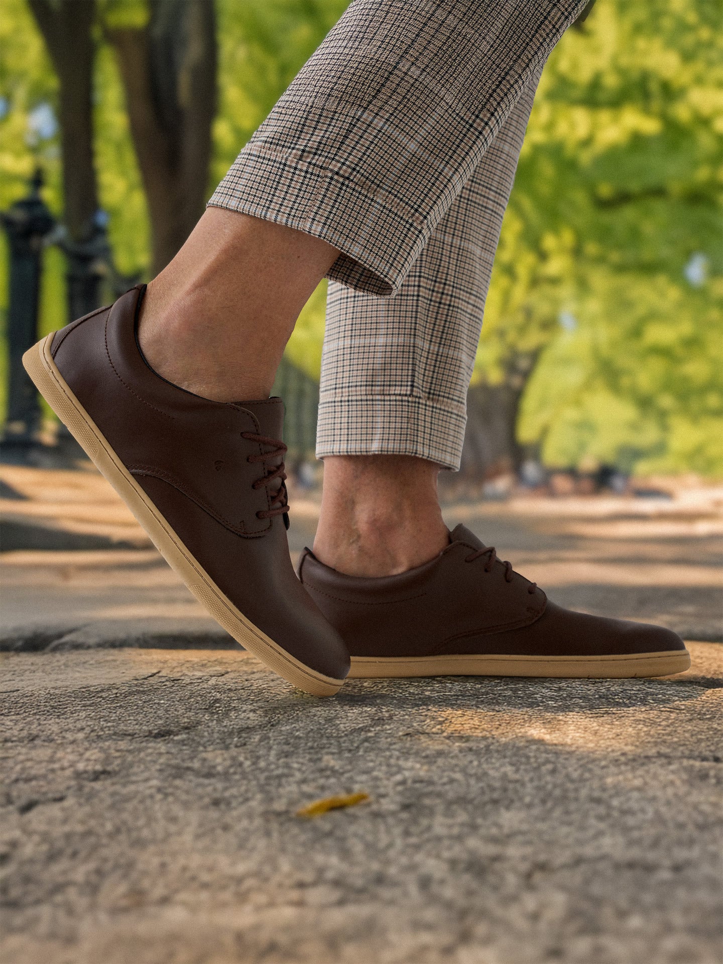 Be Lenka Cityscape - Magnum Brown
