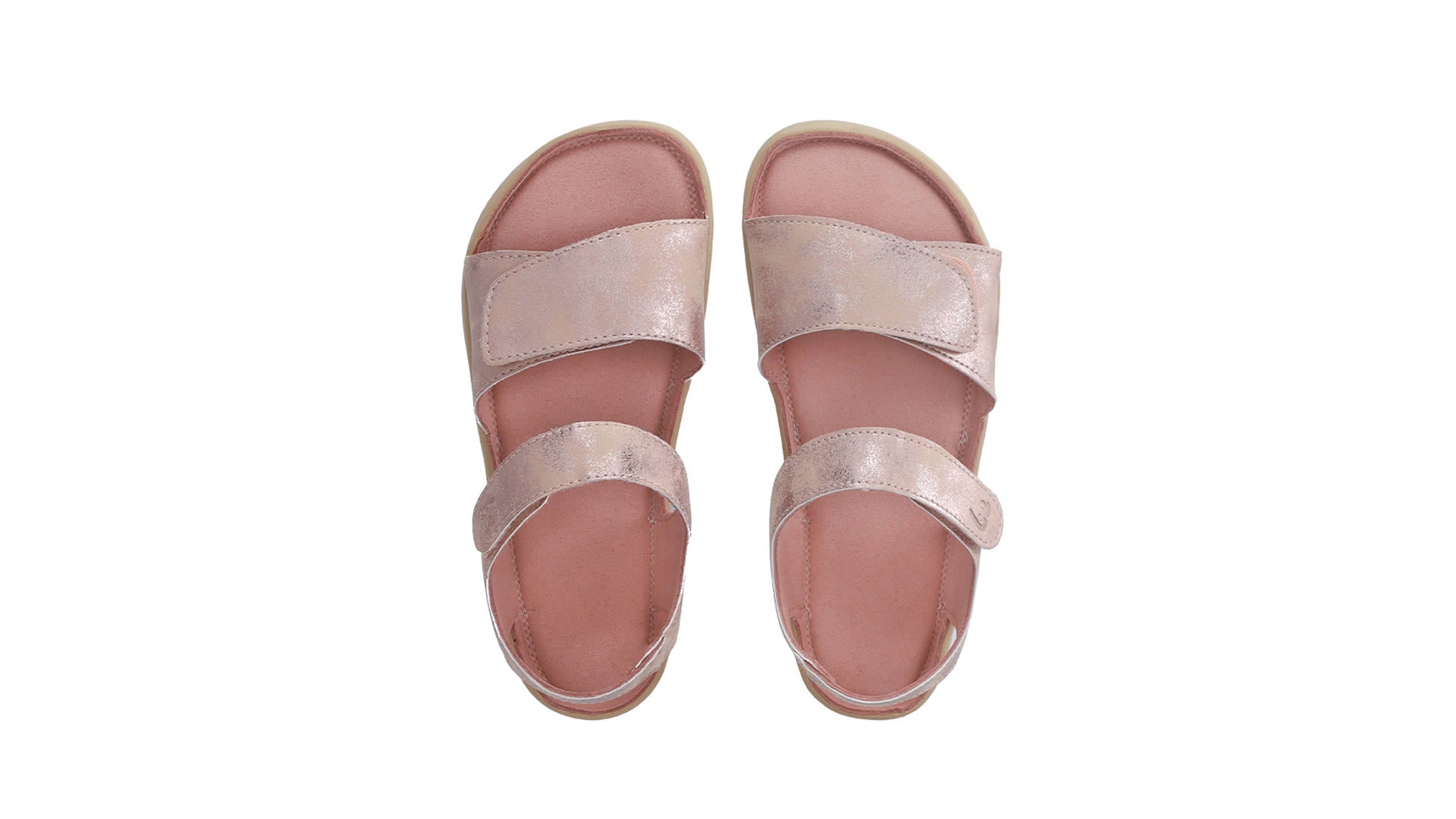 Be Lenka Miami Coral - pohled shora